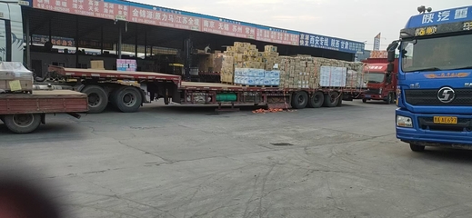 漯河到霍爾果斯整車零擔(dān)往返派送與裝卸服務(wù) 一站式物流解決方案